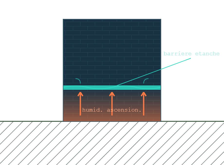 Coupe de mur avec une nouvelle barriere horizontale qui bloque l humidite ascensionnelle