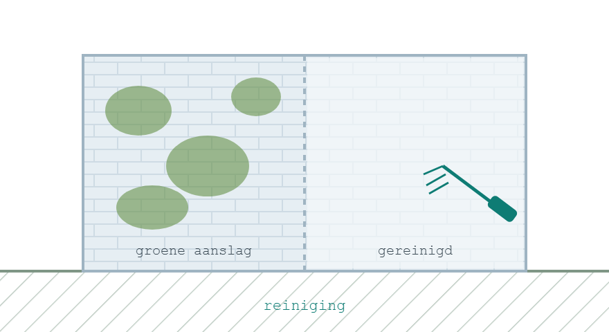 Gevel half bedekt met groene aanslag en half gereinigd via zachte gevelreiniging