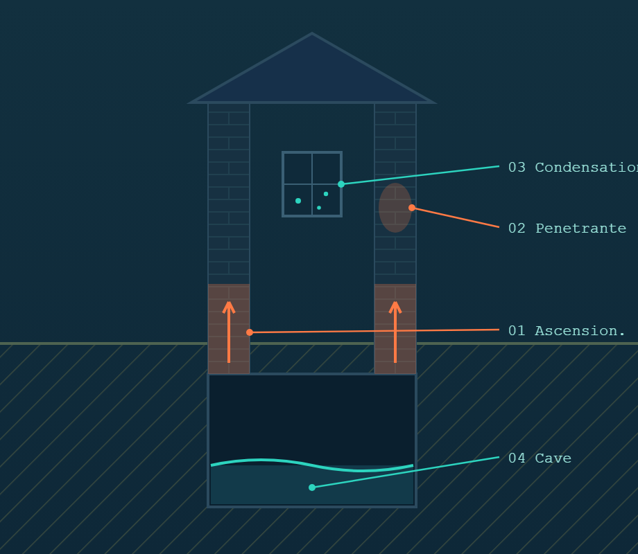 Coupe d'une habitation avec les zones d'humidité ascensionnelle, pénétrante, de condensation et d'eau en cave