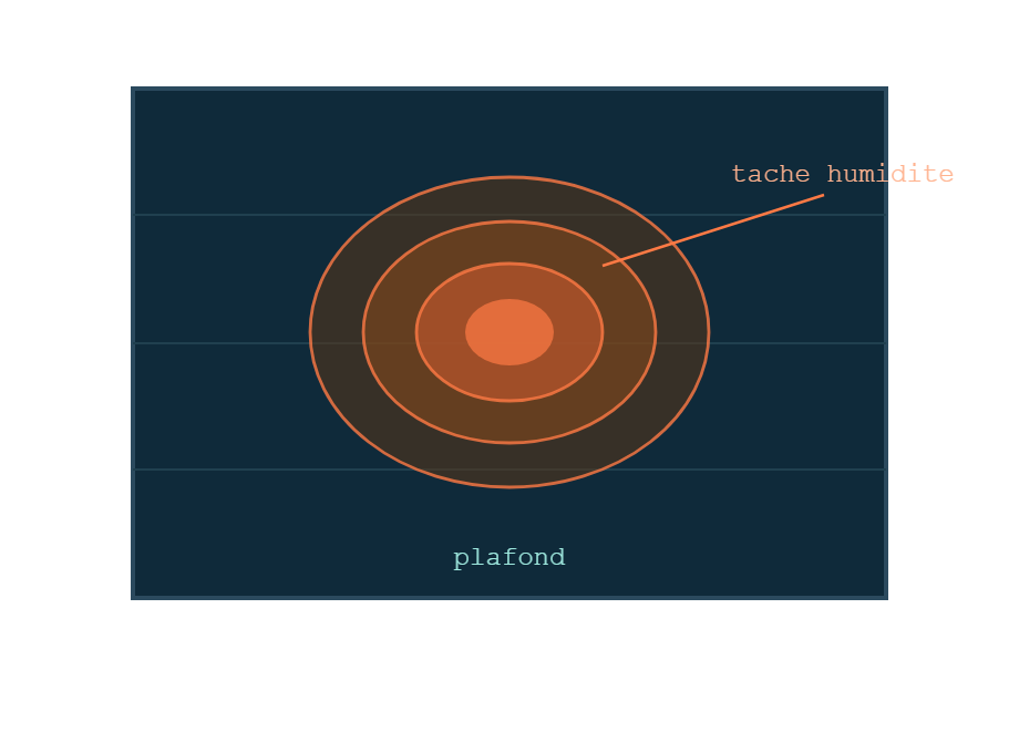 Plafond avec une aureole d'humidite brune et orange en ovales concentriques signe d'une tache d'humidite