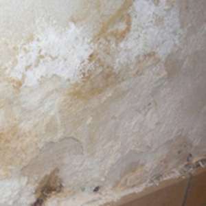 salpeter verwijderen op de muur